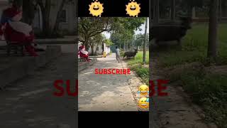 TAKOT ANG KALABAW SA PALAKAquot comedy pinoymovierecaps funny comedyvideo kalabaw palaka [upl. by Cornelius]