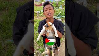 YANG CINTA SAMA KUCING PALESTINA LIKE DAN DOAKAN YA 🤲 ardipetto komedi funny [upl. by Seuqirdor574]