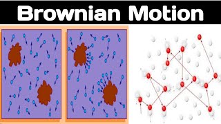 Define Brownian motion with examples in urdu hindi [upl. by Cirenoj]