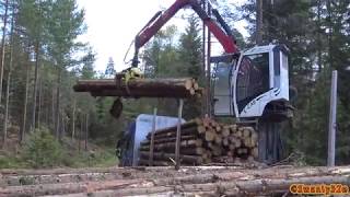 4K Volvo FH16 750 Timber Truck Loading [upl. by Llywellyn332]