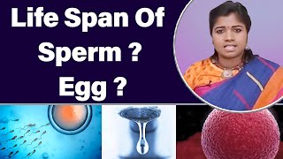 What is the life span of the sperm and egg  How Fast Sperm Travels to the Egg  DrBYoga Vidhya [upl. by Westbrook467]