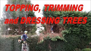 Time Lapse of Our Conifer Trees Being Topped Reduced and Dressed March 2019  Ep096 [upl. by Letsirhc271]