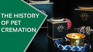 The Unbelievable History Of Pet Cremation [upl. by Gibby]