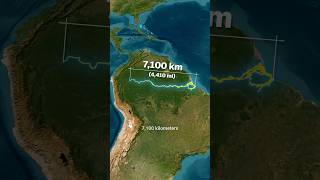 Why The Amazon River Has No Bridges 🤯 One of the Worlds Longest Rivers 🌊 [upl. by Berky]