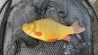 Storm Kathleen sets the fish off  tench and crucian bonanza [upl. by Chaim142]