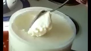 How To Make Home Made Powdered Milk Yoghurt [upl. by Yrot]