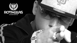 El Bandolero Audio  Cosculluela El Principe [upl. by Wilton]