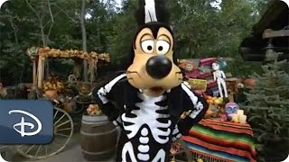 Halloween Time at the Disneyland Resort  Disney Parks [upl. by Robinson]