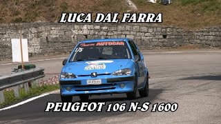 SALITA ALPE DEL NEVEGAL 2024  LUCA DAL FARRA  PEUGEOT 106 NS 1600  VIDEO BELLUNOVIDEO [upl. by Noremmac521]