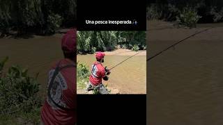 Una pesca inesperada🎣pescao pescador fishing rioparana parati rios argentina pescarealarg [upl. by Karita]