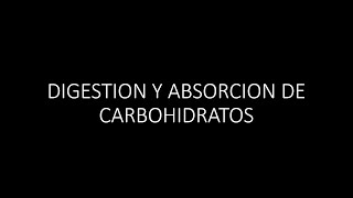 Digestion y Absorcion de Carbohidratos [upl. by Hallutama]