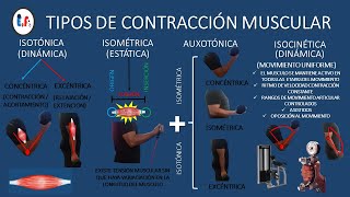 TIPOS DE CONTRACCIÓN MUSCULAR  EJEMPLOS PRACTICOS CON LAGARTIJAS [upl. by Eelyek]