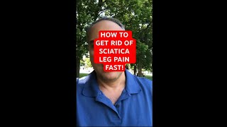 4 Great Exercises to Relieve SCIATICA  Dr Walter Salubro [upl. by Tiat426]