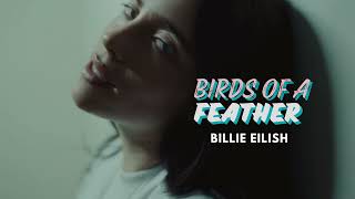 BIRDS OF A FEATHER  Billie Eilish 1 Hour [upl. by Athiste197]