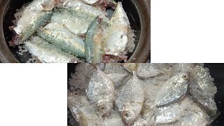 ഉണക്ക മീൻ ഉണ്ടാകുന്ന വിധംDry Fish making videos [upl. by Atirat]