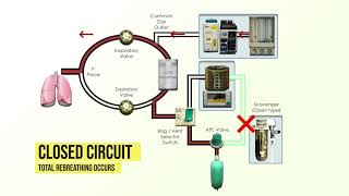 Anesthesia Machine Fundamentals [upl. by Juta859]