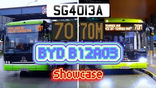 100th Video Special BYD B12A03 SG4013A Showcase [upl. by Enirual]