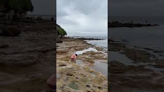 Bare Island La Perouse Sydney Australia sydney australia [upl. by Stulin]