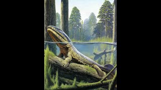 Eogyrinus Giant Carboniferous Amphibian [upl. by Adnuahsar]