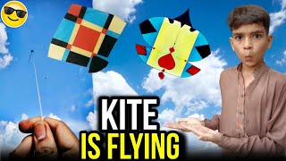 quite is flying 😲  how to do make kite [upl. by Evars]