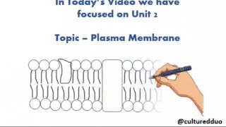 Plasma Membrane  Fluorescence Recovery After Photobleaching FRAP 💡 [upl. by Irrak]