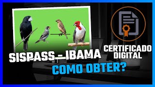 CERTIFICADO DIGITAL A3 IBAMA  COMO FAZER  PASSO A PASSO [upl. by Ayikahs]