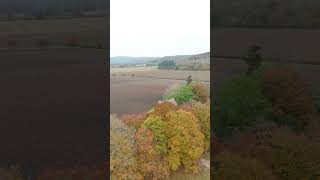 Autumn Church in The Cotswolds English Countryside travel dronevideo drone autumn djimini4pro [upl. by Ayotahs]