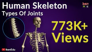 Human Skeleton and Types of Joints  Biology Video  Iken Edu [upl. by Winnifred961]