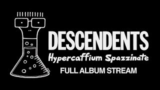 Descendents  quotComeback Kidquot Full Album Stream [upl. by Esmond244]