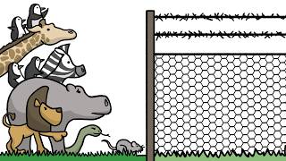 How to keep elephants and wolves out of your yard [upl. by Cerallua]