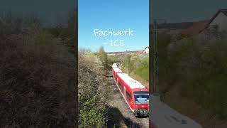 Vier DB Regioshuttle quotFachwerkICEquot auf der Ammertalbahn [upl. by Atinrahc]