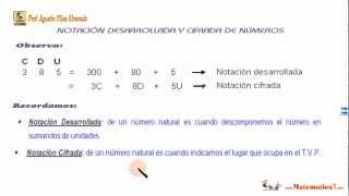 NOTACIÓN DESARROLLADA Y CIFRADA DE NÚMEROS DE TRES CIFRAS Matemáticas Ejercicios [upl. by Ardnoyek]