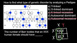 How to find type of Genetic Disorder by Analyzing a Pedigree [upl. by Huan]