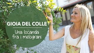 Una locanda fra i melograni Viaggio in Puglia Gioia del Colle  BUON VENTO di Sabrina Merolla [upl. by Ruthven]