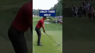 Tiger Woods INCREDIBLE recovery😱 [upl. by Patric]