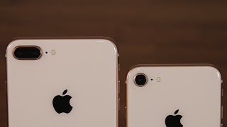 iPhone 8 vs iPhone 8 Plus Camera Differences You Need To Know [upl. by Yeaton767]