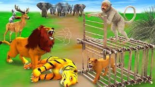 शेर के बच्चे की चोरी बंदर और बाघ Tiger Steals Lion Cub amp Monkey Sher Ki Bache Ki Chori Bandar Bagh [upl. by Dotti]