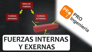 Diferencia entre fuerzas INTERNAS y EXTERNAS [upl. by O'Conner]