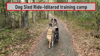 Experience the thrill of Iditarod Dog Sled Training [upl. by Keldah486]