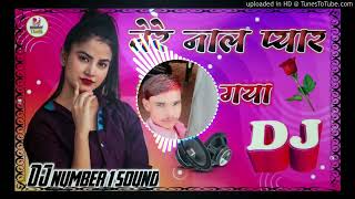 Tere Naal Pyar Ho Gaya new DJ song [upl. by Inwat842]