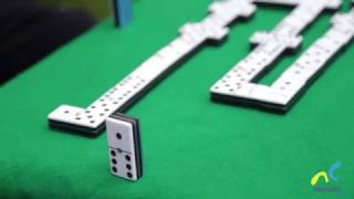 Aprende a jugar domino [upl. by Ecnirp943]