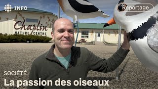 Stephane Canevet une voix pour les oiseaux migrateurs [upl. by Krystin123]