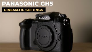 Lumix GH5 Cinematic Settings 2021 [upl. by Hartill335]