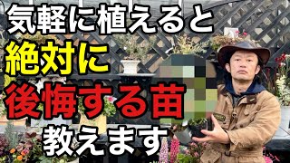 【よく売ってる】この植物達を植える際は充分気をつけて下さい 【カーメン君】【園芸】【ガーデニング】【初心者】 [upl. by Nilrem]