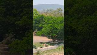 Sikal beri DIMNA LAKEtravelJAMSHEDPURdimna JHARKHANDshortsviralvideo [upl. by Icak36]