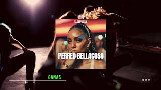 PERREO BELLACOSO  LEFED Reggaeton 2024 [upl. by Geoffrey]