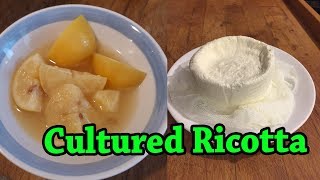 Cultured Ricotta  Fermented Cheese Experiment for Beginners [upl. by Ram489]