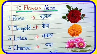 10 Flowers Name in English and Hindi  flowers Name  flower ke Naam  Name of flowers  फलों के नाम [upl. by Lipkin]