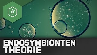 Endosymbiontentheorie [upl. by Munro]