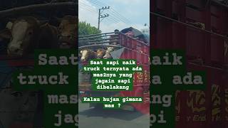 Jagain Sapi [upl. by Onurb]